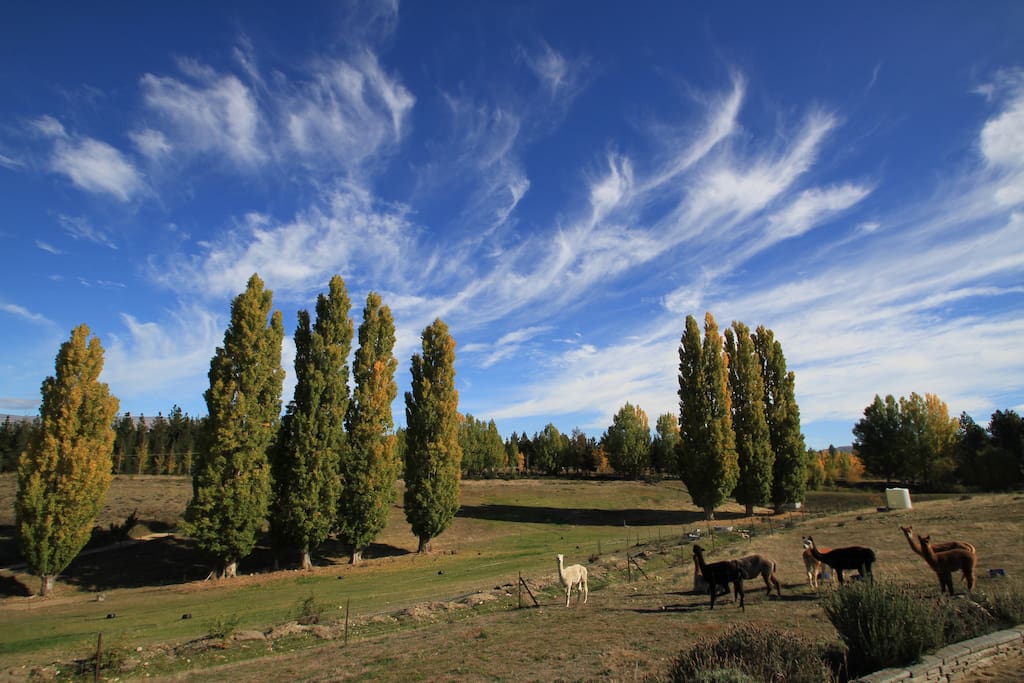 OUR PIECE OF CENTRAL OTAGO