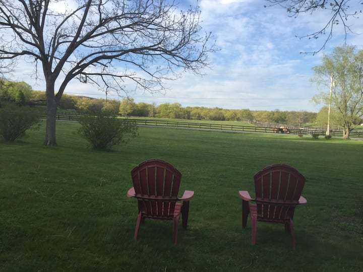 Spectacular "Gunks View" Getaway - Gardiner