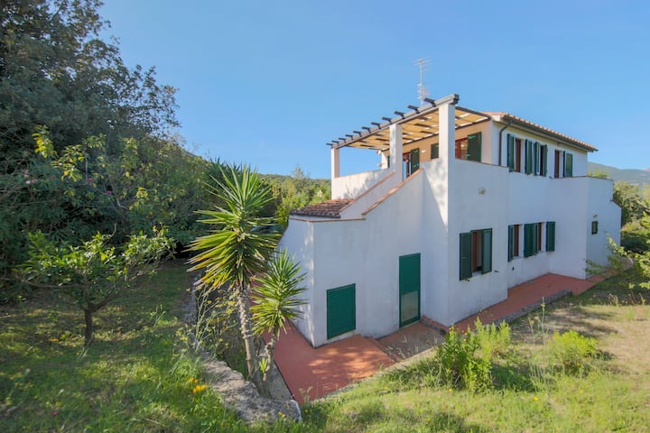 Procchio Vacation Rentals & Homes - Toscana, Italy | Airbnb