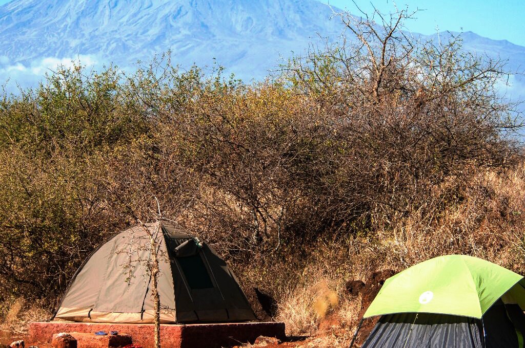 Two tents are positioned on rocky terrain, surrounded by sparse vegetation. Mount Kilimanjaro stands majestically in the background, providing a striking view. The clear blue sky enhances the natural landscape.