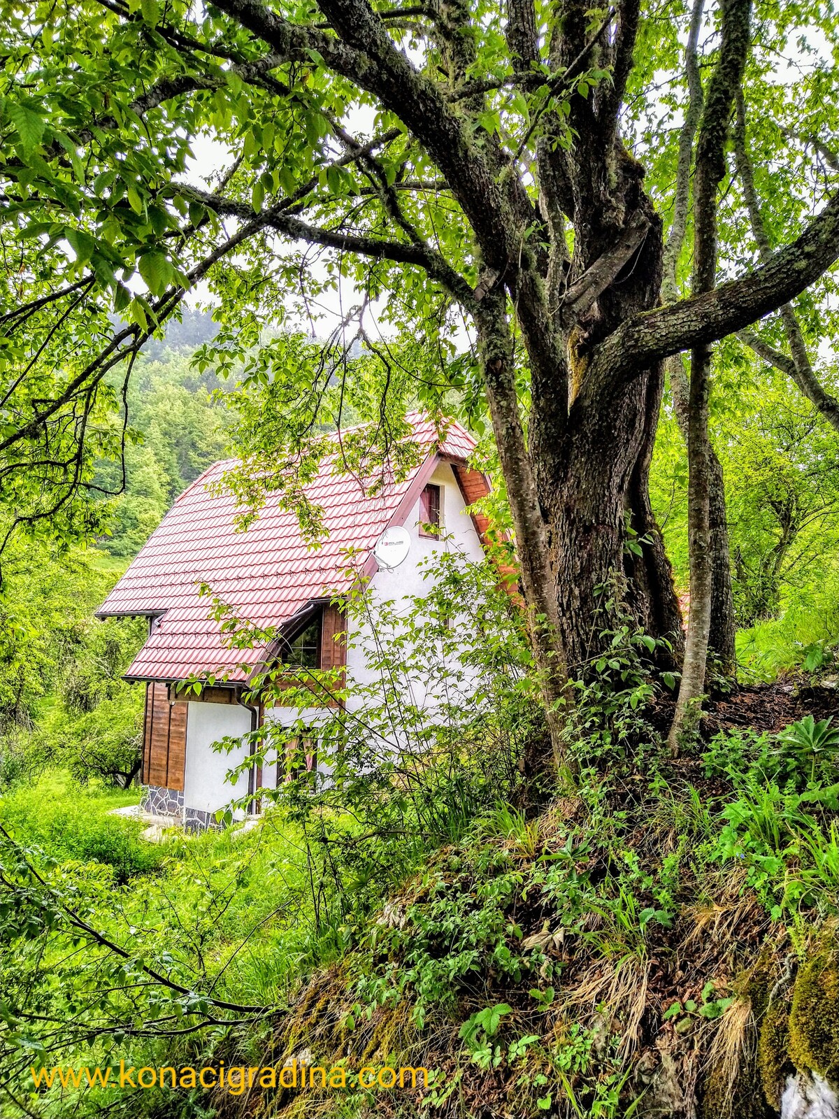 A charming mountain lodge is nestled among lush greenery, featuring a sloped roof with terracotta tiles. The structure displays wooden accents, harmonizing with the natural surroundings. Tall trees frame the scene, creating a serene atmosphere in the heart of the forest.