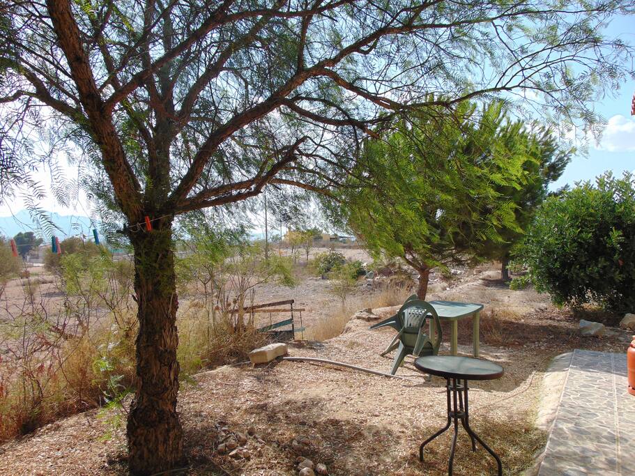 One of several seating areas