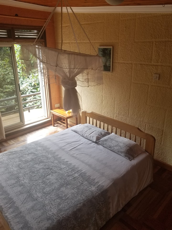 The Woods; a nature lover's delight.