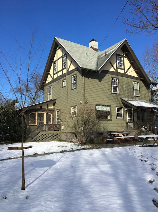 House and backyard