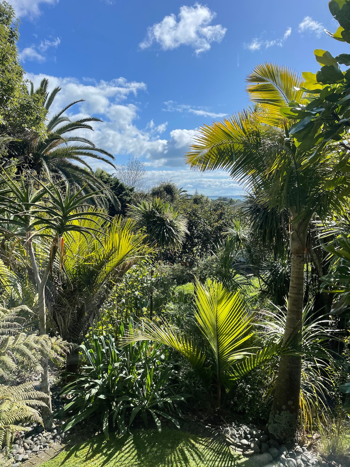 A vibrant garden scene is displayed, featuring an array of lush green plants and palms against a clear blue sky adorned with scattered clouds. Various textures and shades of foliage create a natural sanctuary, inviting relaxation and tranquility.