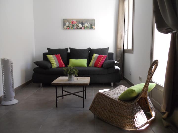 Anisette:Bright apartment in the heart of the village