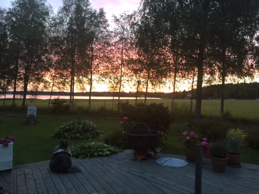 Solnedgang fra terrassen
