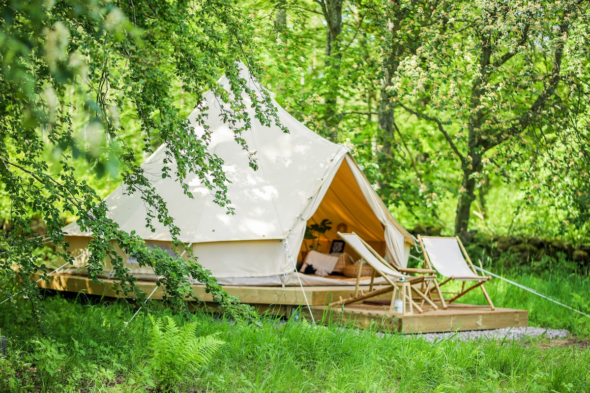 A spacious glamping tent is nestled among lush greenery, with sunlight filtering through the leaves. A wooden deck holds a pair of comfortable chairs positioned for relaxation, creating an inviting outdoor space surrounded by nature.