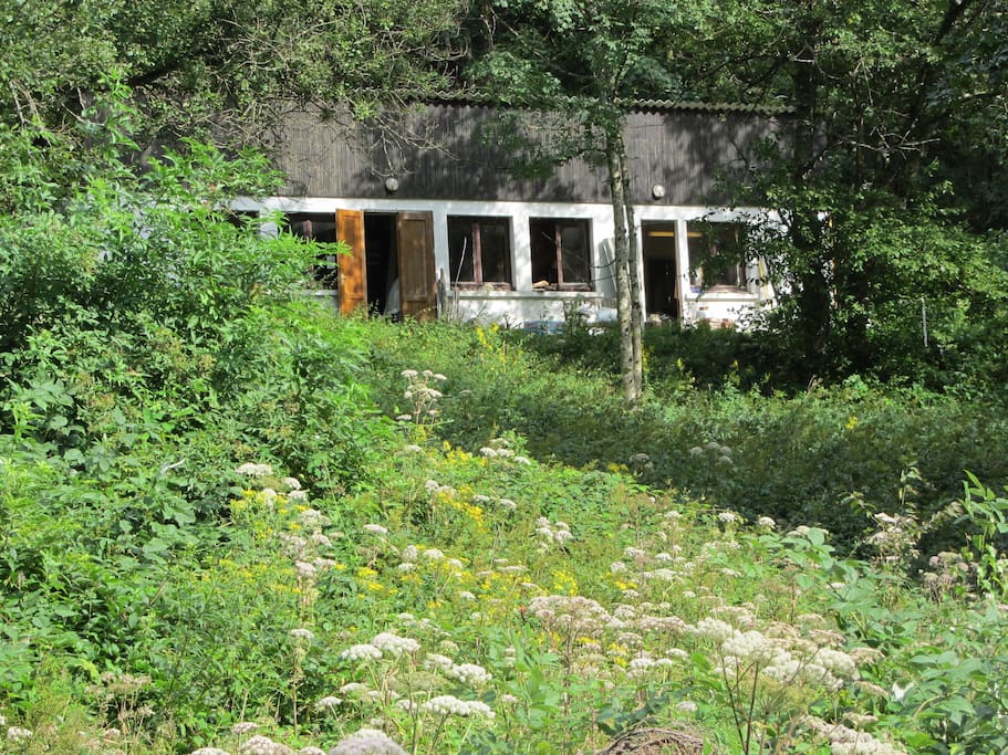 appartement in de zomer