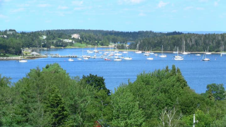Stunning Ocean Views- 5 Mins To Lunenburg - Lunenburg