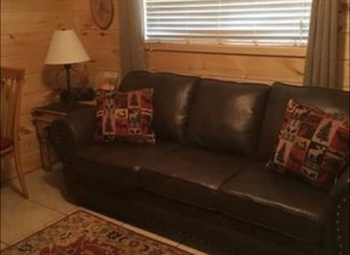 Comfortable Sleeper sofa.