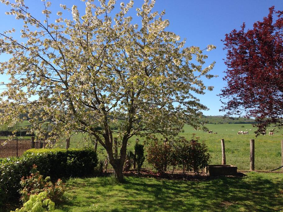 Free view at the back of the house.
Beautiful valley.