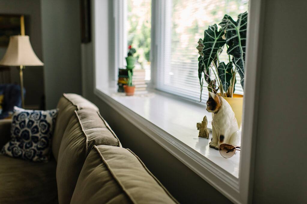 Plenty of nice light through the bay window in the living room during the day, and a nice spot to relax in front of the TV later on.