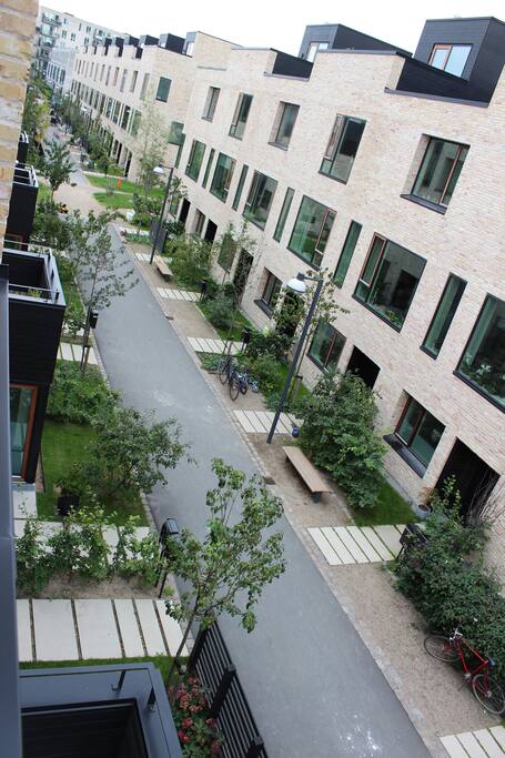 Our cosy car free street, seen from the rooftop terrace