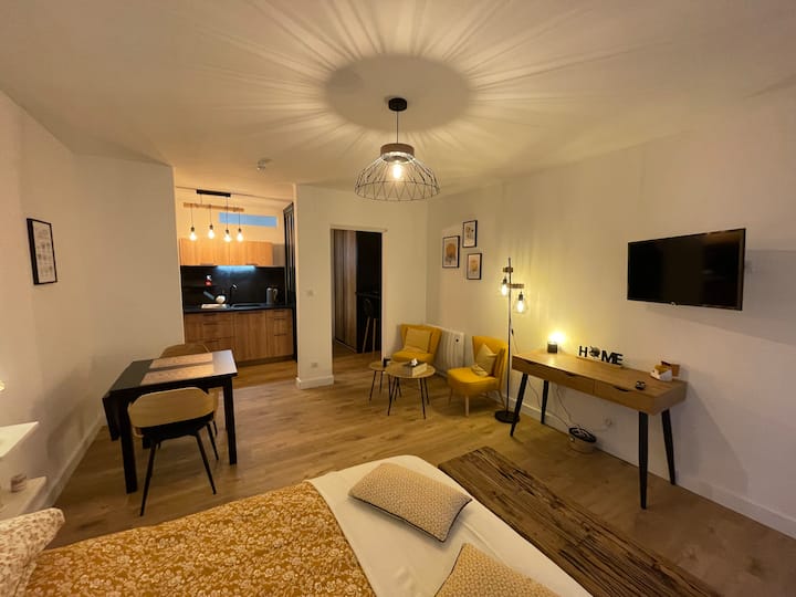 Lion's courtyard apartment! Apartments for Rent in Belfort, Bourgogne