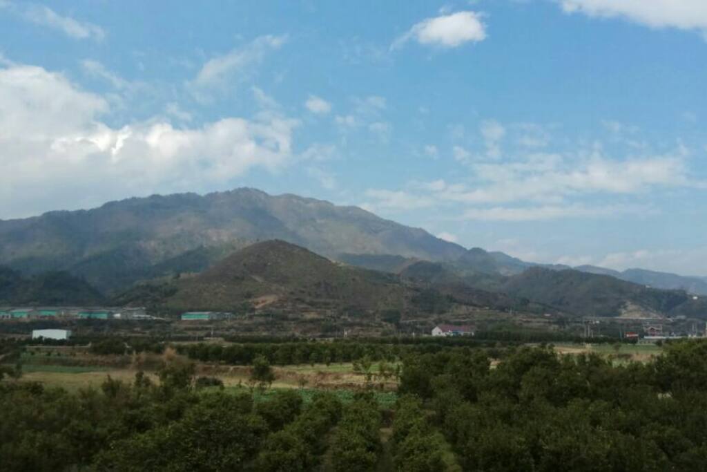 房间里望出去的景色,很空旷,视野好