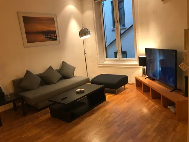 APT3ROOMS IN THE HEART OF OSLO! SKP21B 70mt gallery image 3