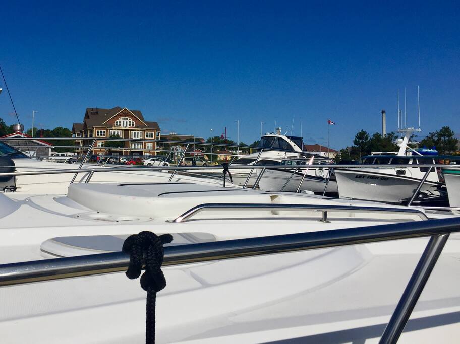 View from the Marina