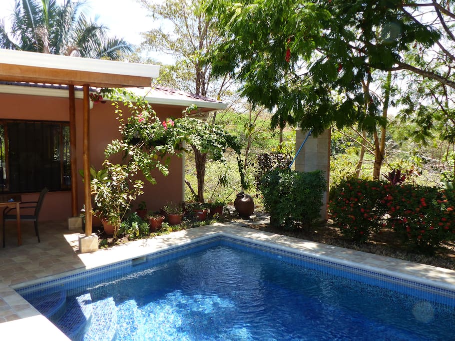 piscine privée