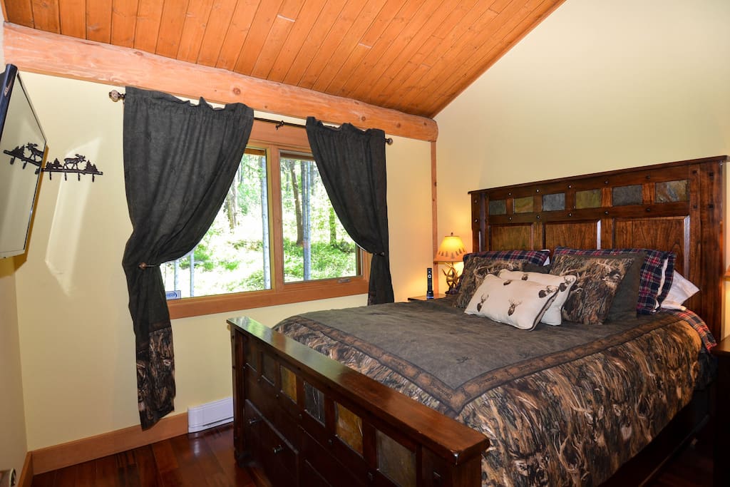 Bedroom has TV, queen bed, and window looks into the forest.