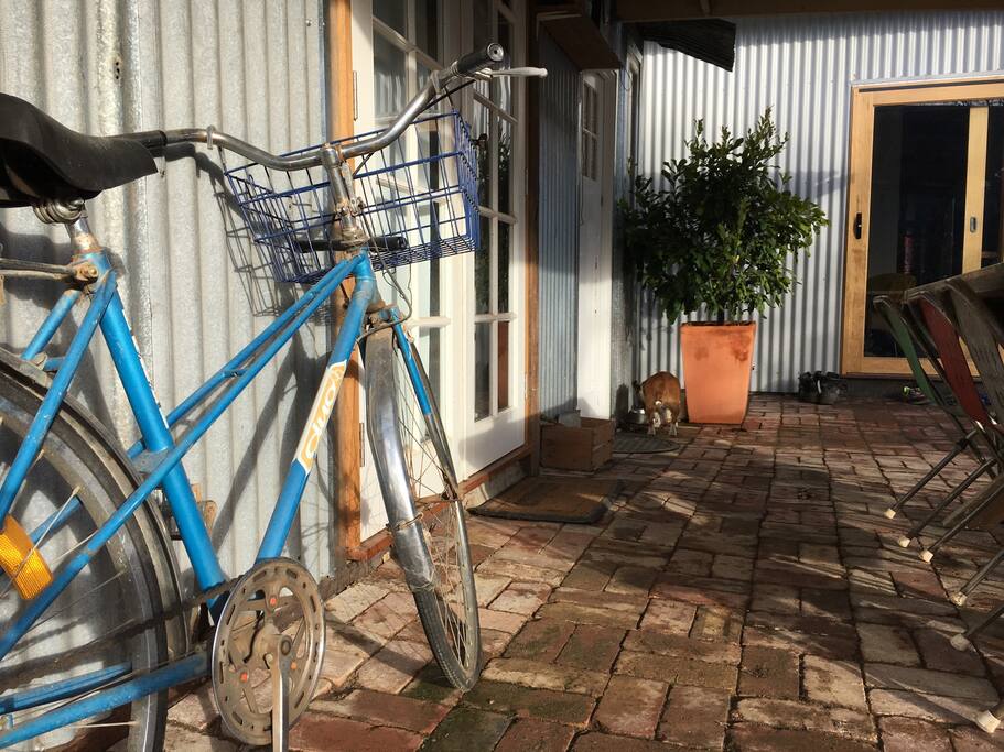 Plenty of bikes available for use!