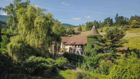 Domaine d'Estary rose gîte