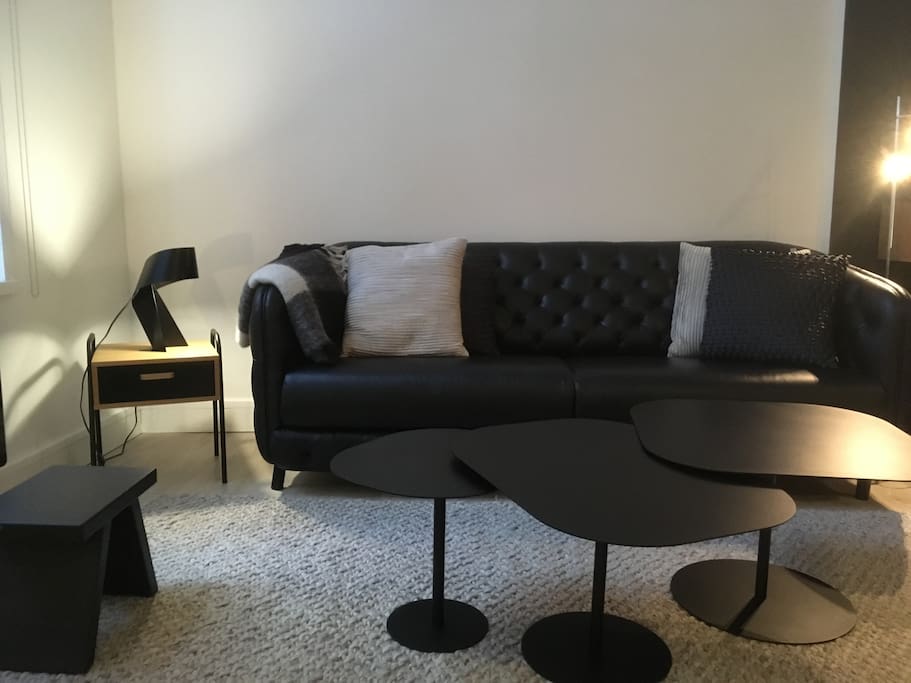 Canapé cuir/ coin salon