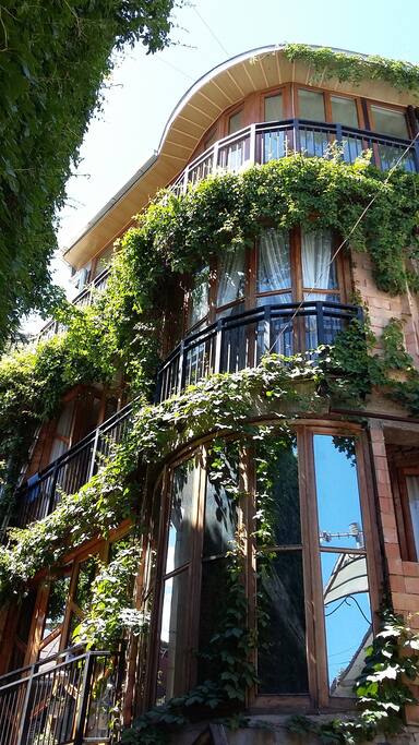 Green house in an ecological area