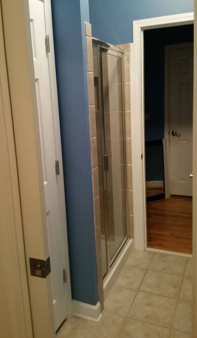 Private shower and bathroom as seen from the bedroom.