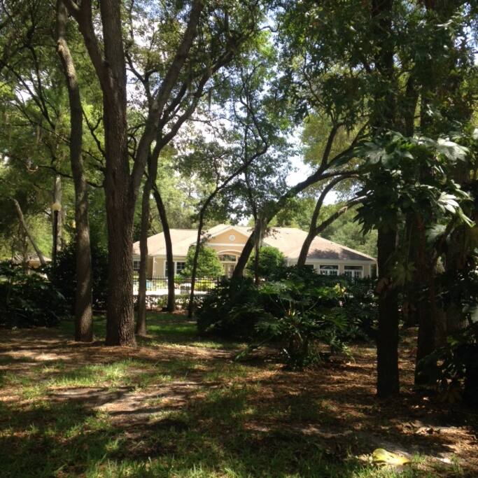 Park like setting for short walks.