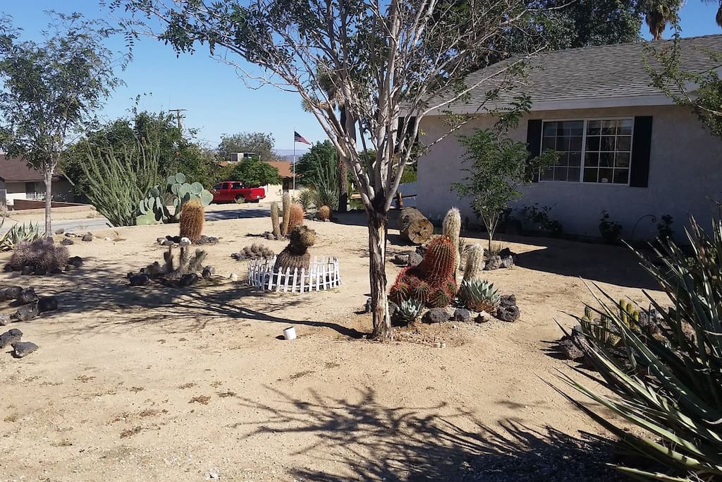 The Front Yard