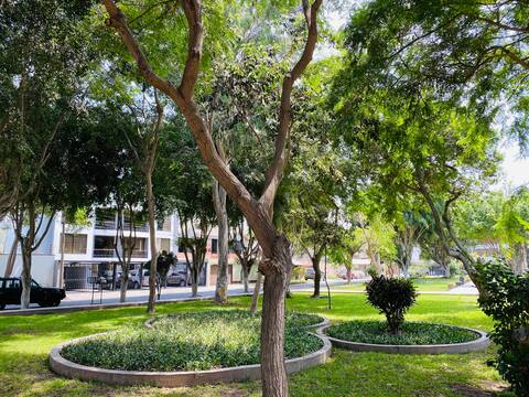La Molina Enjoy & Studies & Work
