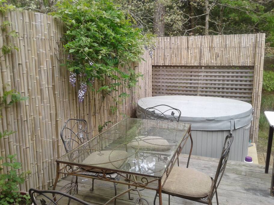 Hot tub and dinning area with wood stove