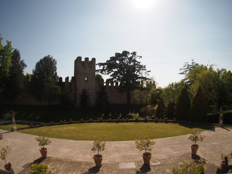 The stunning garden