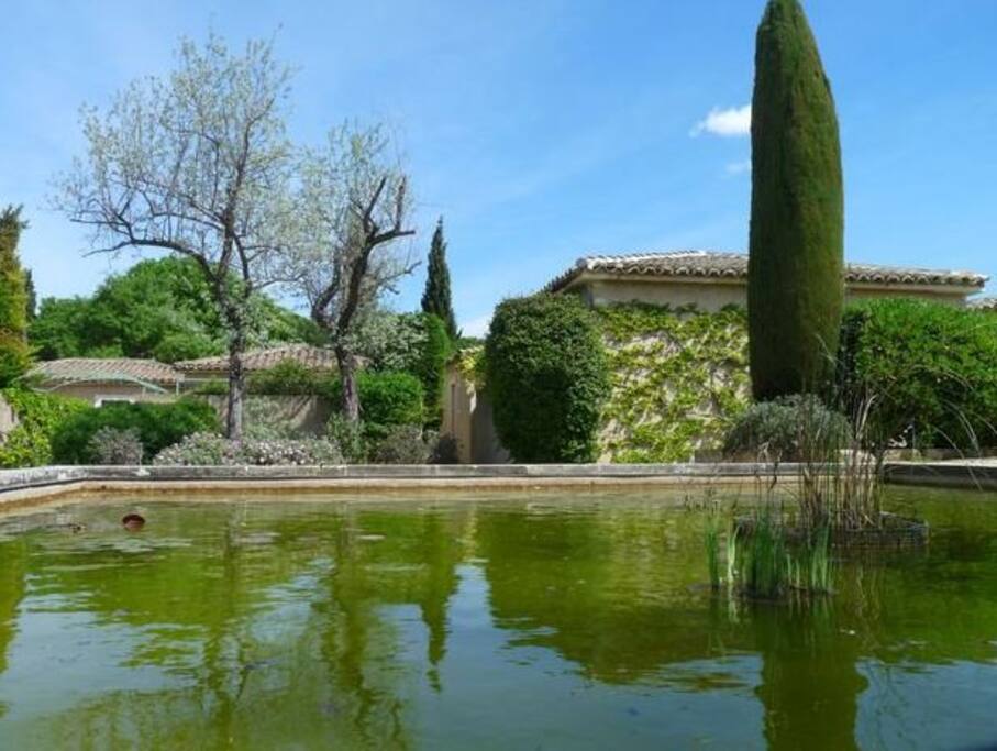 Bassin à poissons, vue du mazet