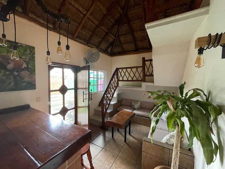 Coati Cottage - Palapas Cozumelito - Cozumel
