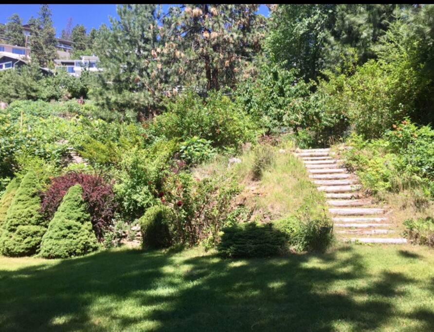This way to the fruit trees