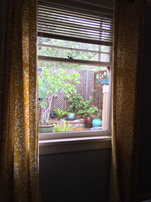 The view from the window shows part of my backyard. There is a fountain with a lovely trickle sound you can hear when the window is open.