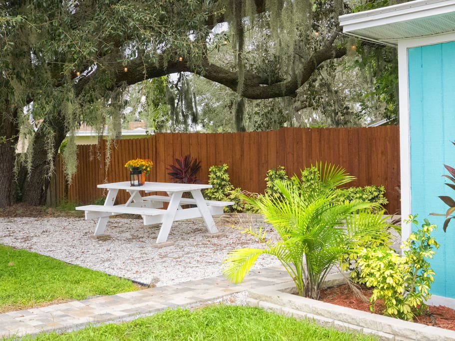 Enjoy Family Picnic, Games all Under the Towering Live Oak Tree