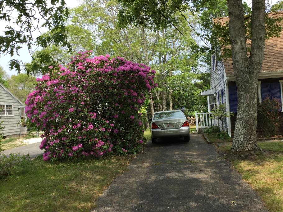 Driveway
