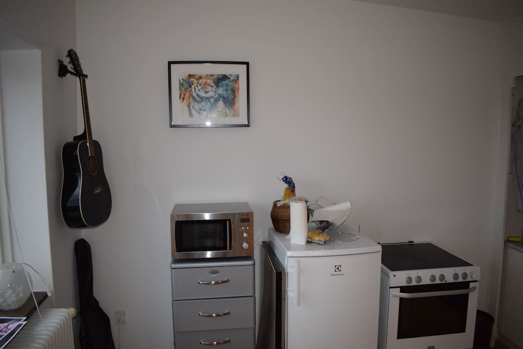 Some necessary accesories, the fridge, the micro-oven and the oven. And my 2 guitars. You are allowed to play the electric one.