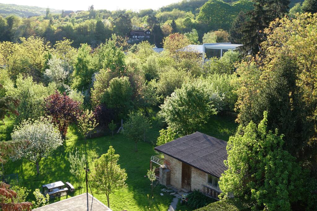 View from the balcony in spring