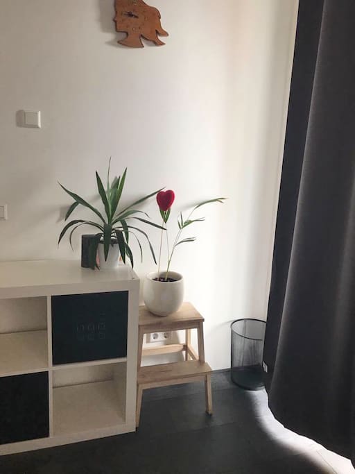 The room has some storage space for you