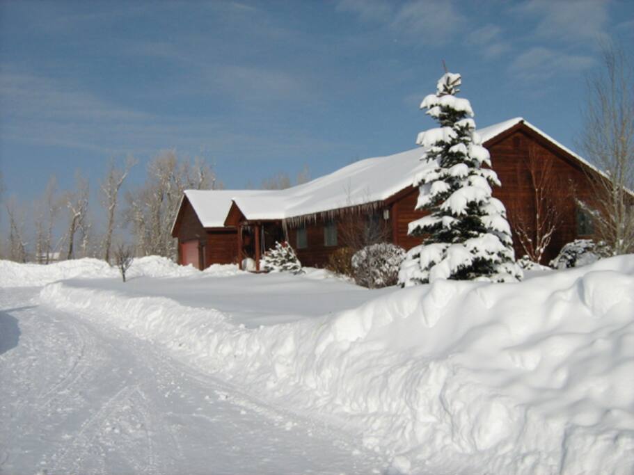 Got snow? We're never left wanting!