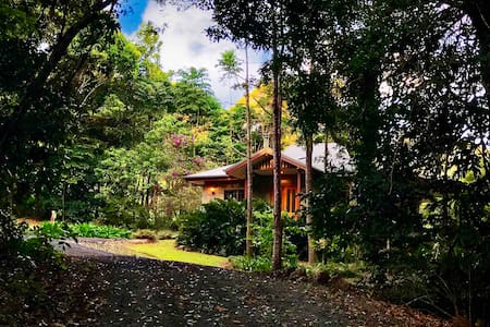 Cairns Tablelands Luxury Rainforest Cottage Guesthouses For