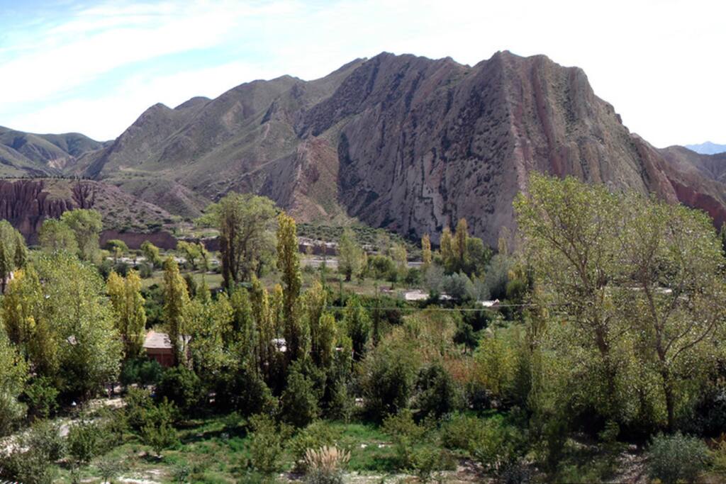 Vista del cerro amarillo