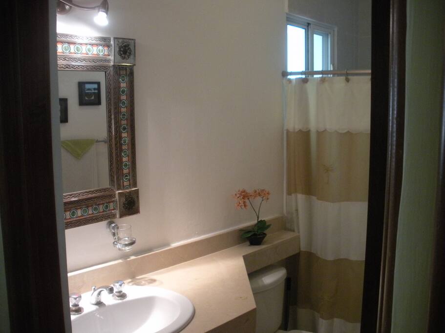 Guest Bath.