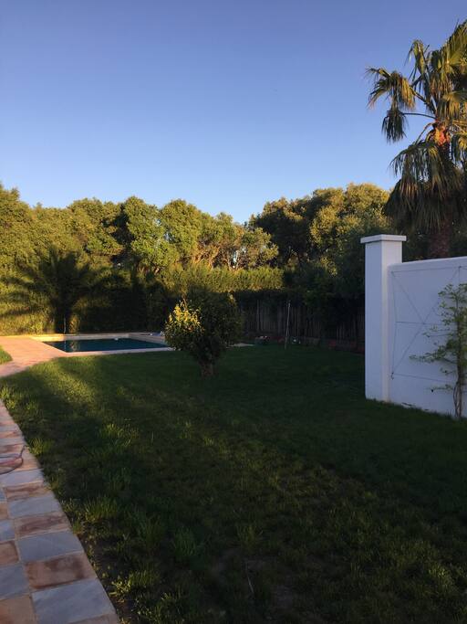 The shadow of the palm tree over the pool as the sun sets, viewed from the half moon lawn / La sombra de la palmera sobre la piscina mientras el sol se pone, visto desde el cesped de la madia luna
