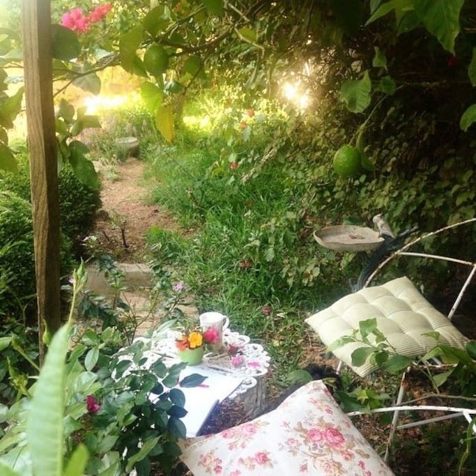 A little nook to relax near the lemon tree.