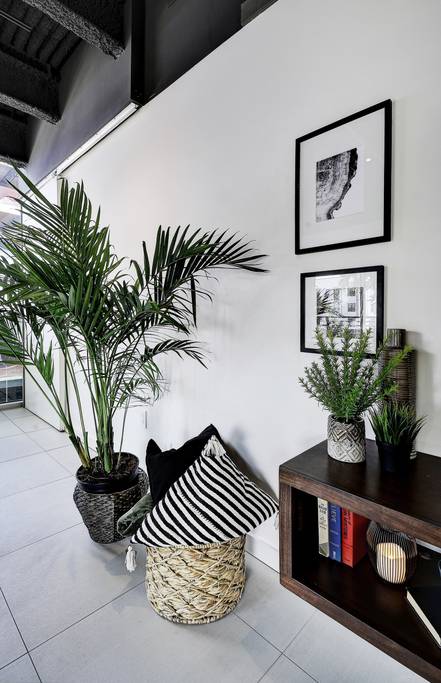 Hip Designer Loft | Walk to 6th Street & Rainey